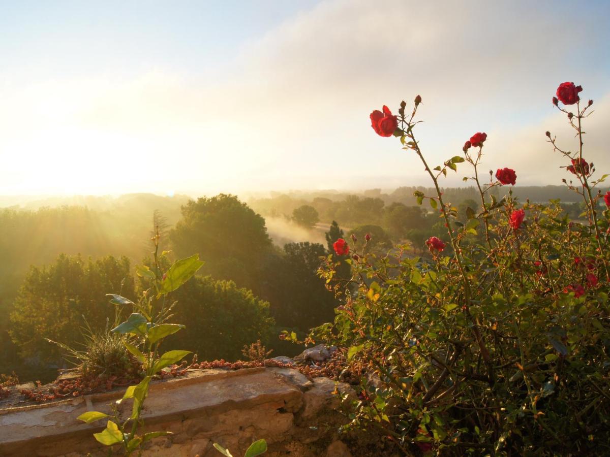 Maison Orsini Bed & Breakfast